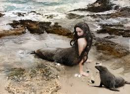 Image result for images of male selkies