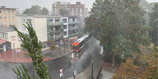 Ruhr Nachrichten - News update