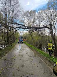 Strażacy mieli pracowitą niedzielę i noc