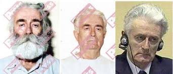Image result for radovan karadzic