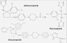 Antifungal Medications. Triazole antifungals. Patient Patient