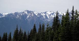 olympic national park Picture