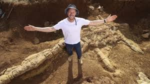 Aussie fossil hunters unearth 'Rosetta stone' | The Australian
