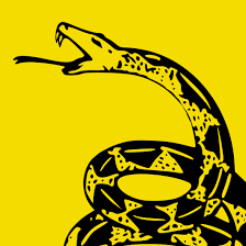 Image result for gadsden flag