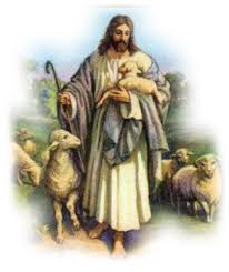 Resultado de imagem para bom pastor