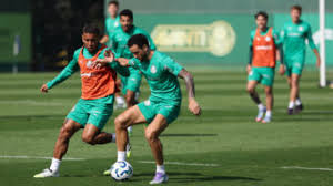 Palmeiras - News update