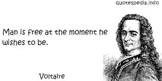 Voltaire On Freedom Quotes. QuotesGram via Relatably.com