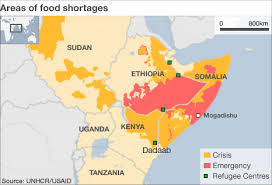 Image result for kekurangan makanan somalia