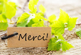 Résultat de recherche d'images pour "merci"