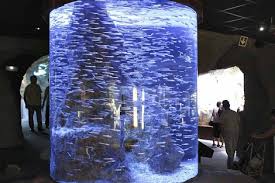 Resultado de imagen de acuario de donosti