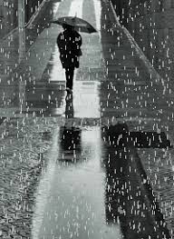 Resultado de imagen para hojas mojadas por la lluvia