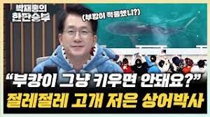 Daum