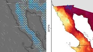 Alerta en Baja California: CEPC prevé calor extremo, tormentas y fuertes vientos