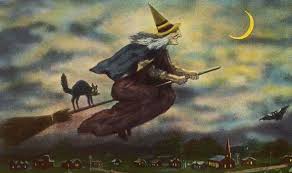 Image result for black cats
