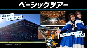 日本生命セ・パ交流戦期間のスタジアムツアー追加枠販売決定！