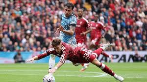 Forest analysis: Williams shines for visitors
