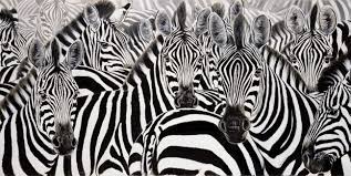 Image result for who is who