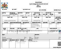 Karnataka eSwathu Form 9 and Form 11 property document layout, AI generated