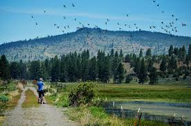 Image result for sprague river oregon
