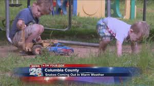 Résultat de recherche d'images pour "copperhead bites"