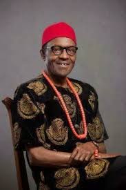 Image result wey dey for president buhari