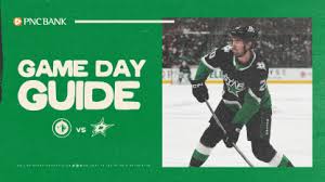 Dallas Stars hockey team preparing for a game