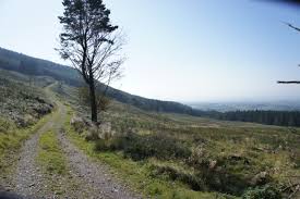 Image result for cooley co louth pics