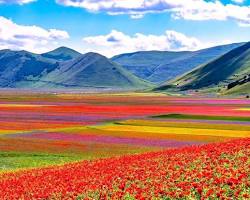 Castelluccio di Norcia