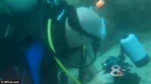 Image result for underwater rugby cali colombia 2015