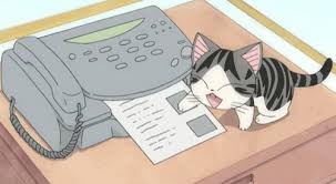 Résultat de recherche d'images pour "chi cat gif"