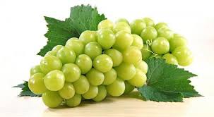 Image result for hoa quả