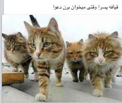عکس نوشته طنز ^_^ 1