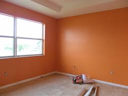 Resultado de imagem para foto pinturas de casa