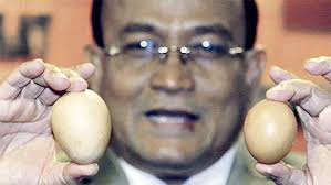 Ketua Pengarah Jabatan Perkhidmatan Veterinar (JPV), Datuk Dr Abd Aziz Jamaluddin, berkata pemeriksaan pihaknya mendapati tidak ada telur ayam tiruan dijual ... - 550_a236