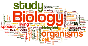 Image result for biology clipart