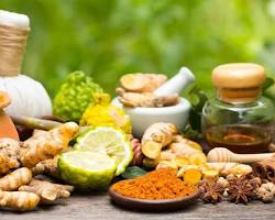 صورة Ayurvedic herbs