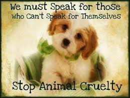 Stop Animal Cruelty Pictures, Photos, and Images for Facebook ... via Relatably.com