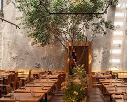 Image of Maximo Bistrot restaurant in Mexico City