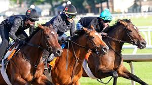 Sovereignty Wins Belmont Stakes 2025: Highlights and Results