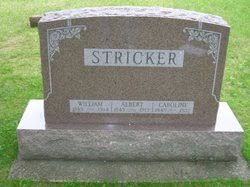 William Stricker (1885 - 1914) - Find A Grave Memorial - 11234017_111973699898