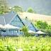 A tipple in Tassie is a wine taster's dream