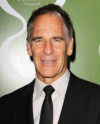 Scott Bakula - scott-bakula-variety-women-in-film-pre-emmy-event-01