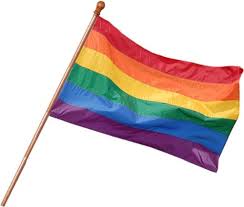 Image result for gay flag