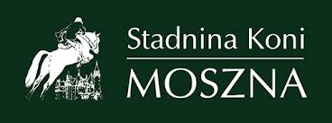 Znalezione obrazy dla zapytania moszna