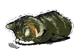 Image result for 節哀顺便