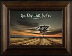 Amazon.com: Reap What You Sow By Todd Thunstedt 20x26 Farm All ... via Relatably.com