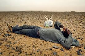 R&eacute;sultat de recherche d'images pour "algerie360"