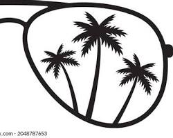 Image of palm tree with sunglasses on