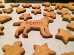 5 Christmas Treats Your Pets Will Love