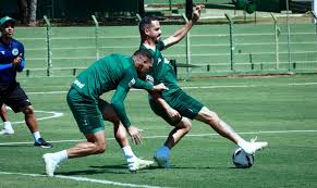 Crisis en Goiás: ¿Pierde a Anselmo Ramon? Polémica y el Clásico en Juego - Imagen ilustrativa del artículo